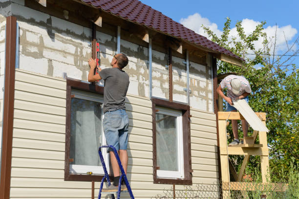 Best Custom Siding Design  in Winchester, IL