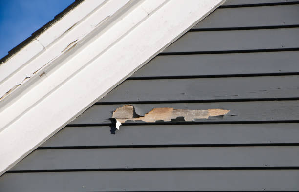 Reliable Winchester, IL Siding Installation Solutions