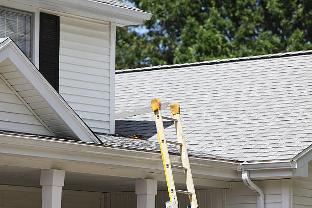 Best Siding Painting and Refinishing  in Winchester, IL